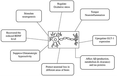 Repurposing of the β-Lactam Antibiotic, Ceftriaxone for Neurological Disorders: A Review